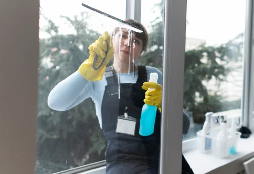 Nettoyage de vitres intérieures et extérieures à Uzay-le-Venon
